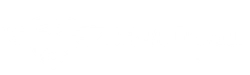 BRAVO Group Logo White